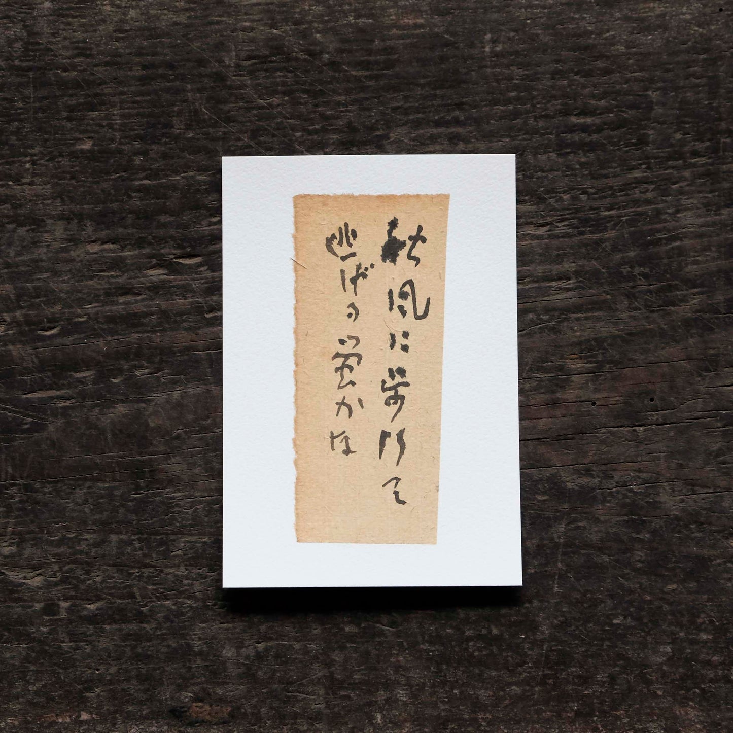 日置路花の書|小林一茶|秋風に(B)|葉書