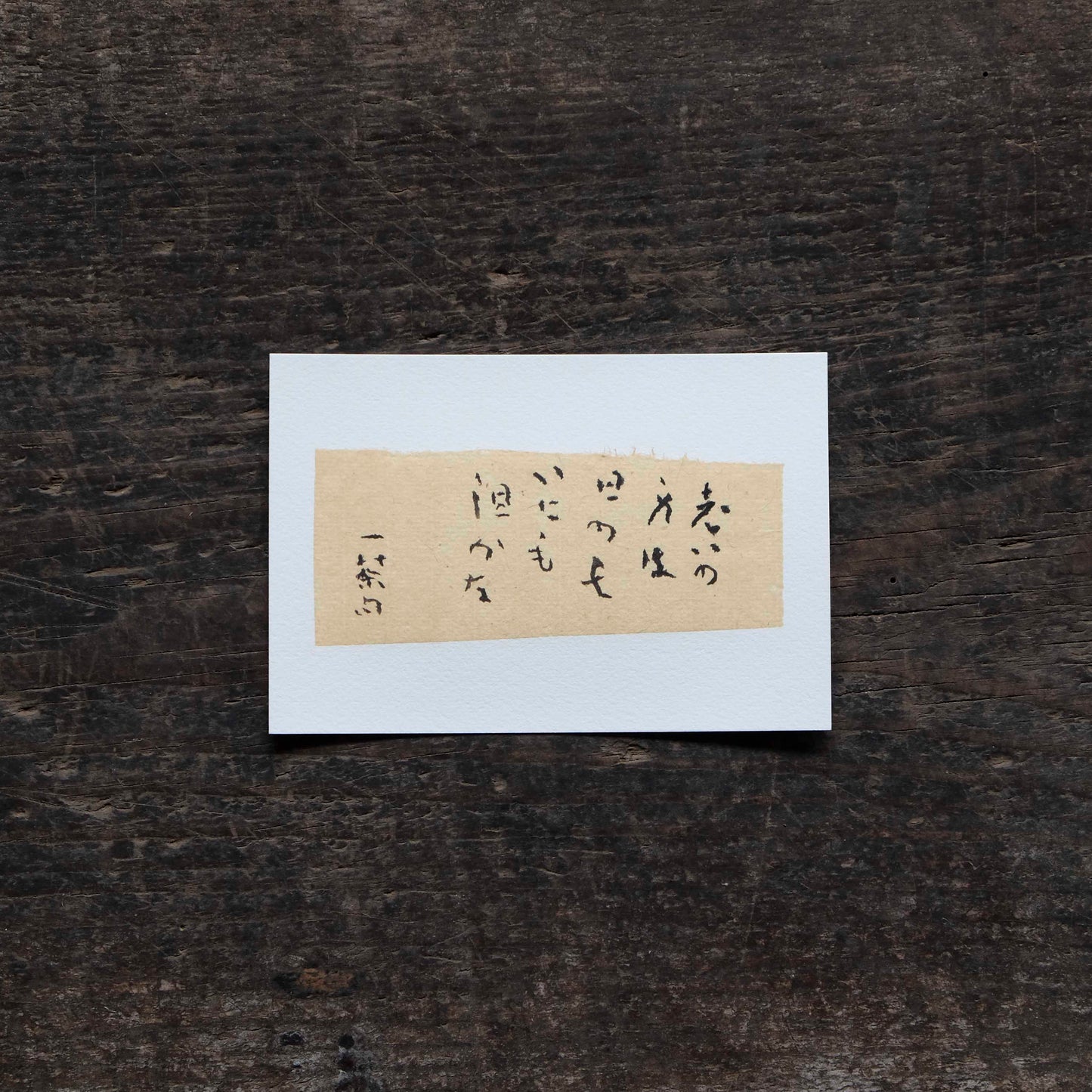 日置路花の書|小林一茶|老の身は(C)|葉書