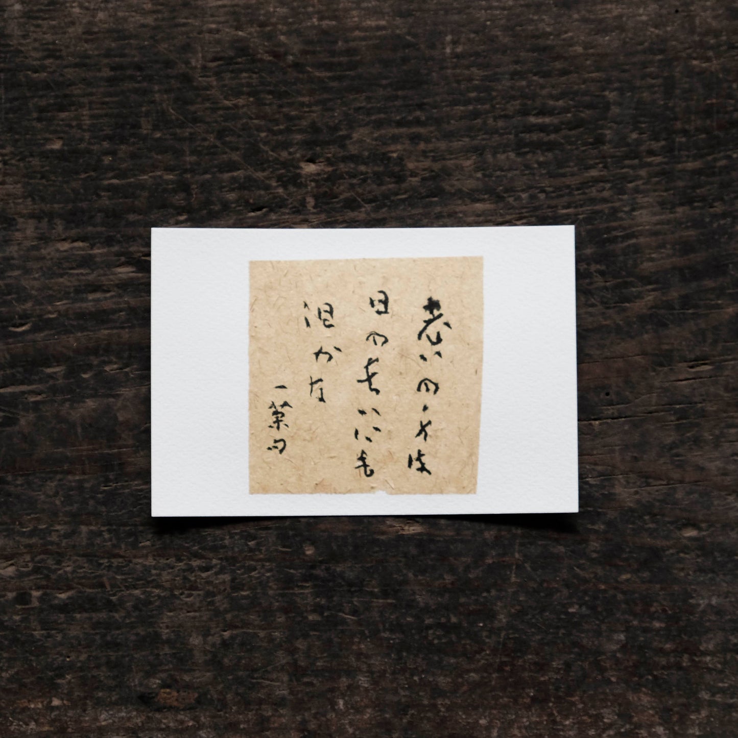 日置路花の書|小林一茶|老の身は(E)|葉書