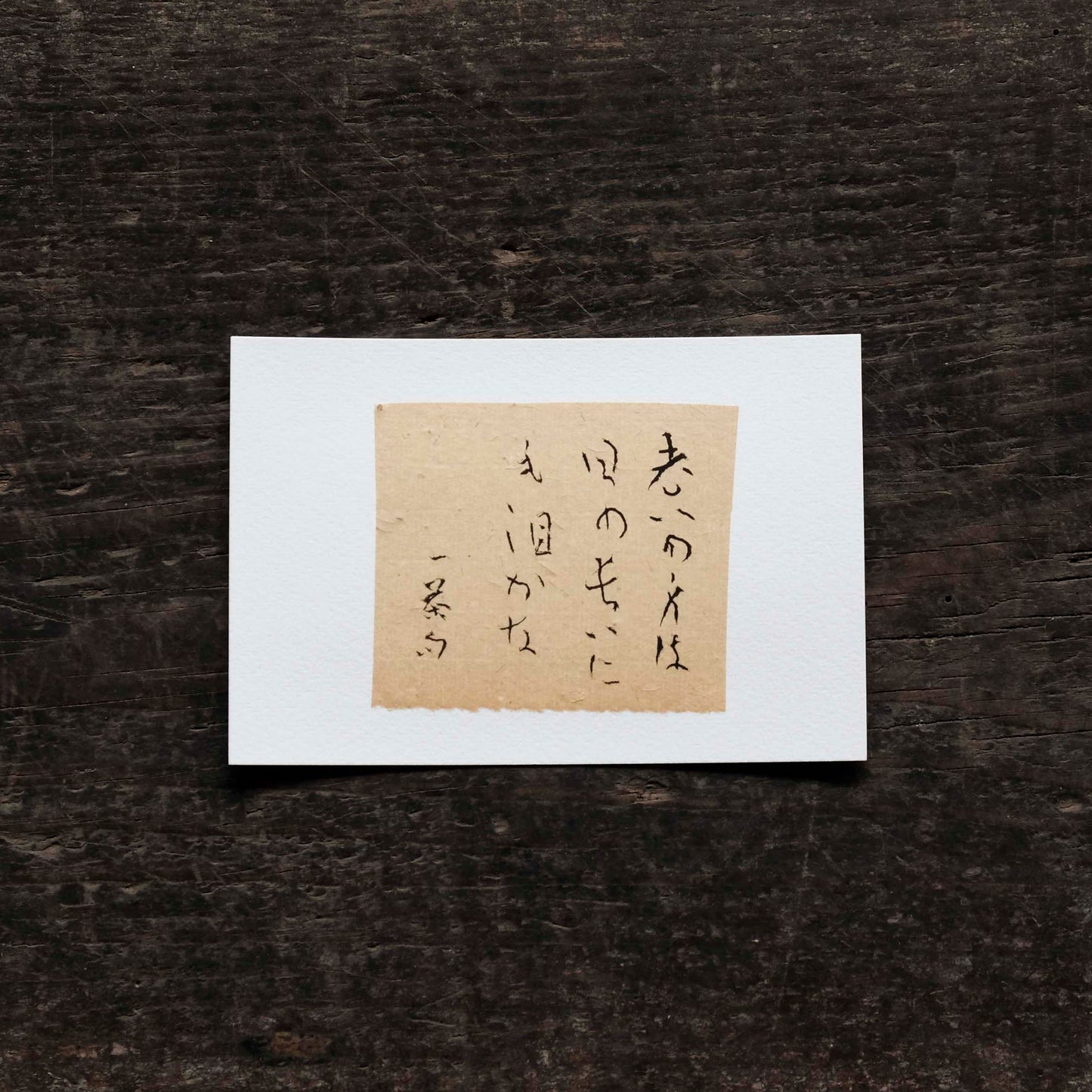 日置路花の書|小林一茶|老の身は(F)|葉書