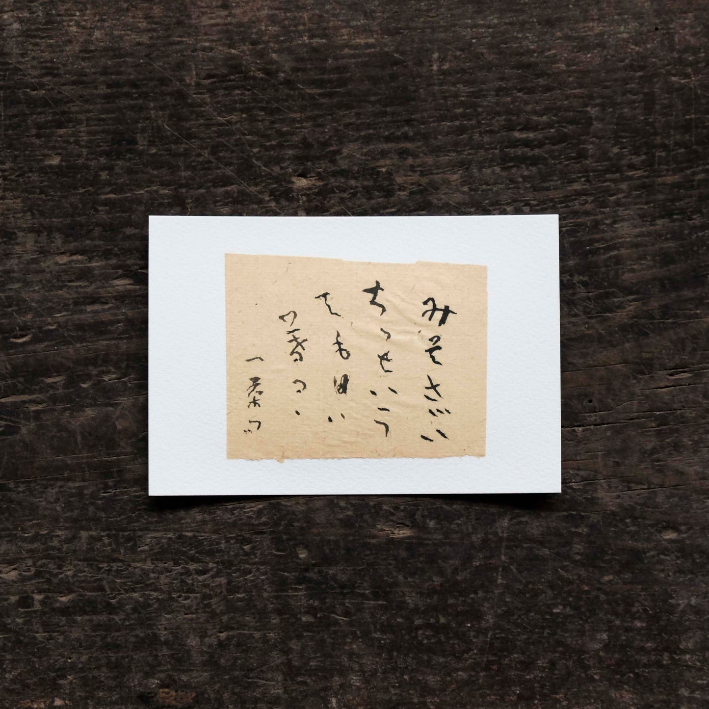 日置路花の書|小林一茶|みそさざい(C)|葉書