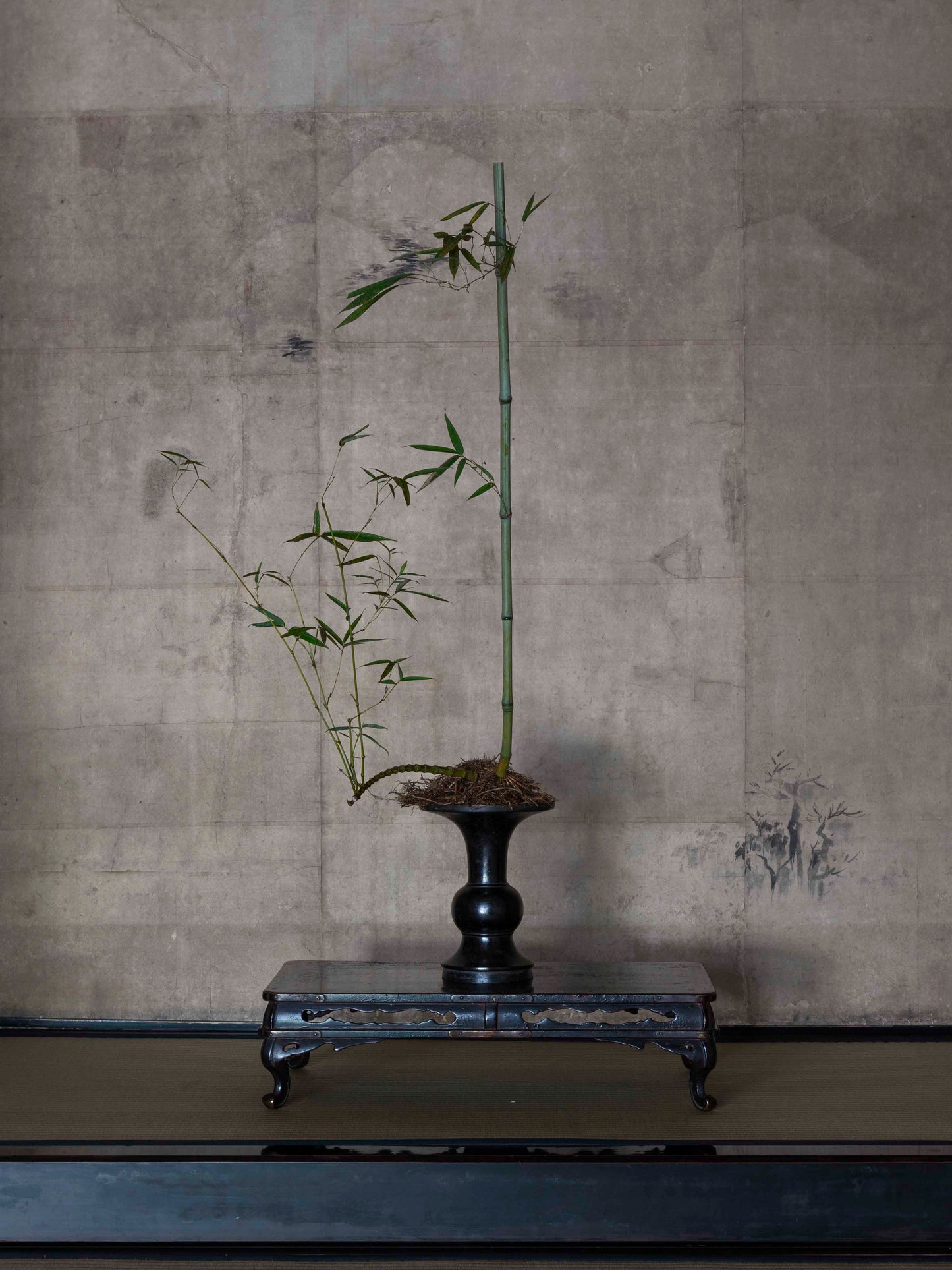 写真|川瀬敏郎の花|5