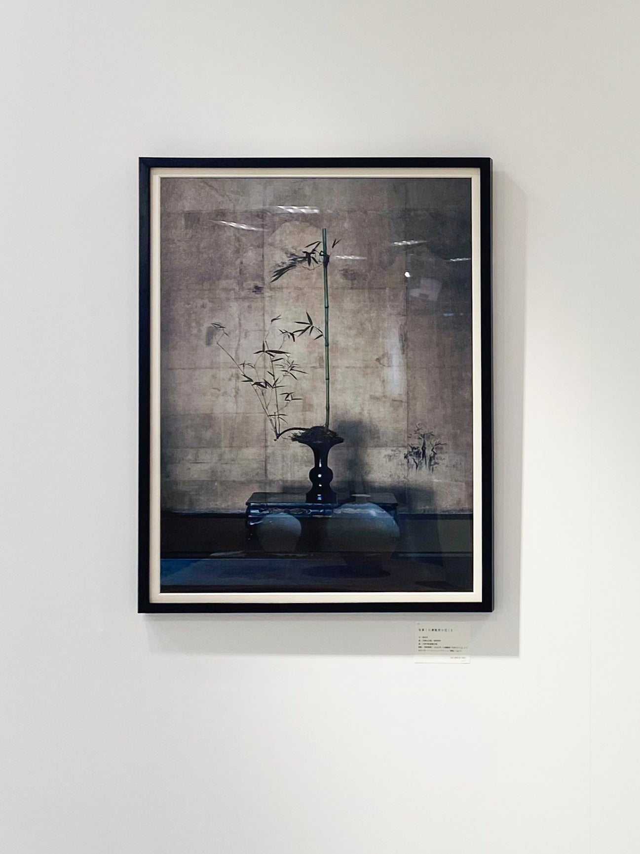 写真|川瀬敏郎の花|5