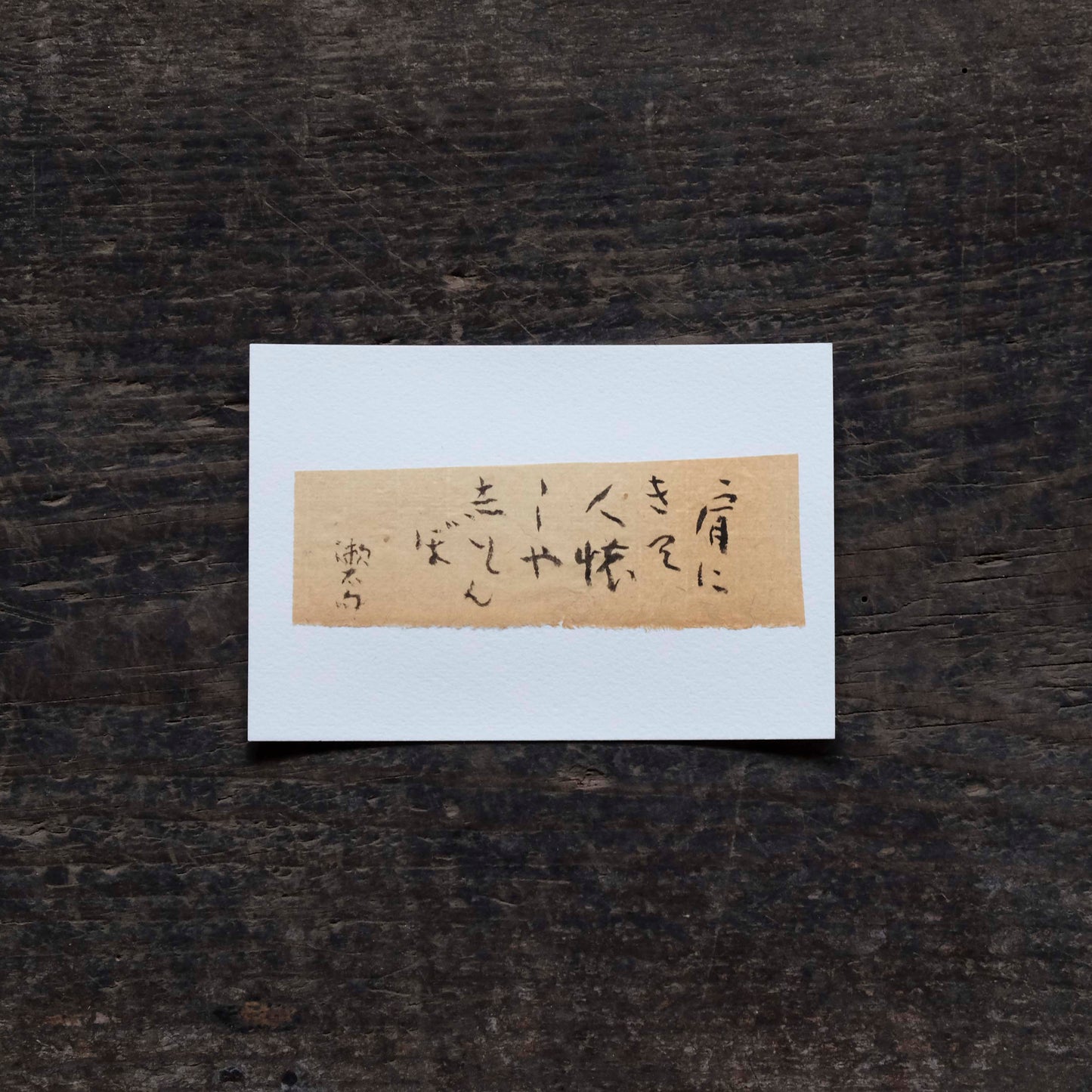 日置路花の書|夏目漱石|肩にきて(A)|葉書