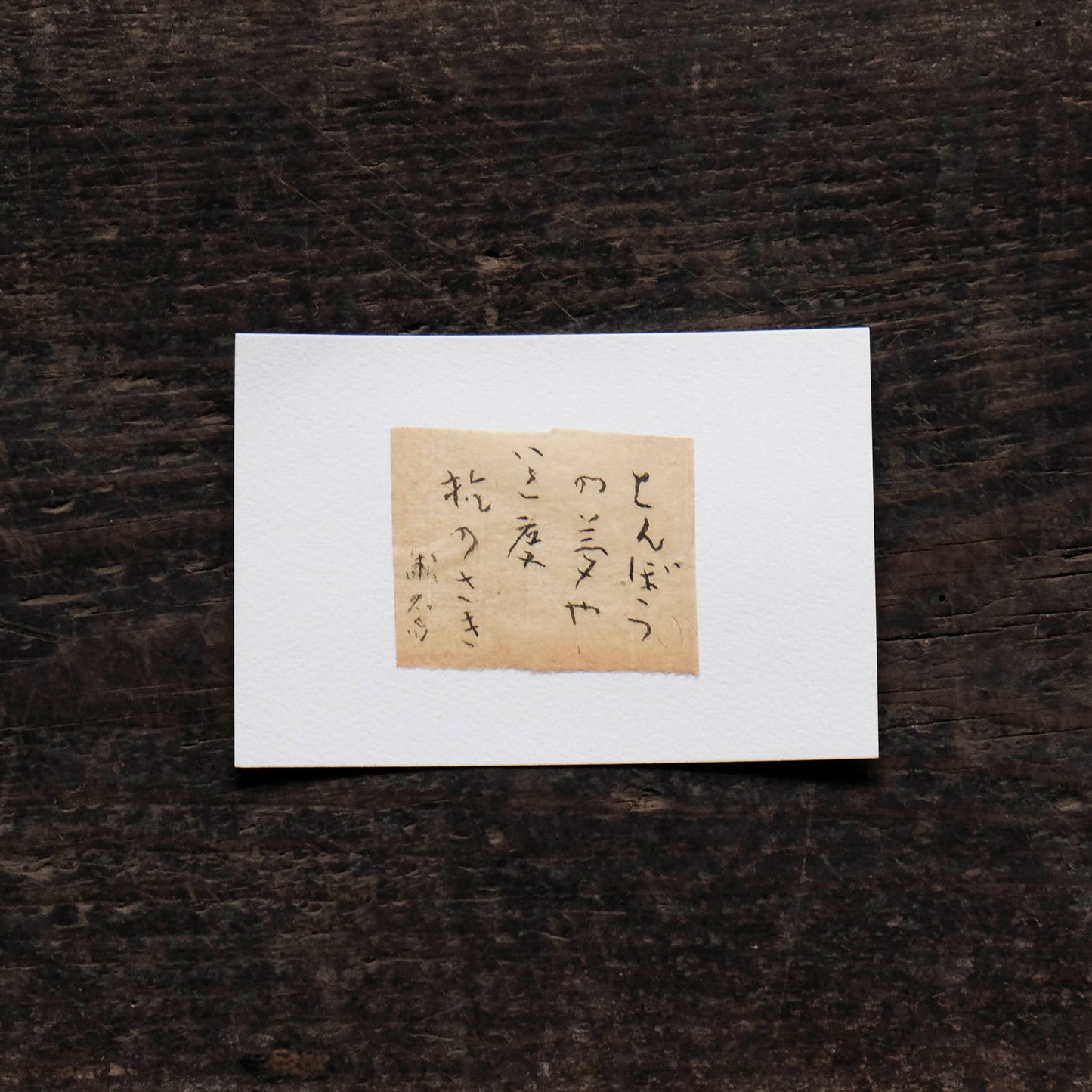 日置路花の書|夏目漱石|とんぼうの(A)|葉書