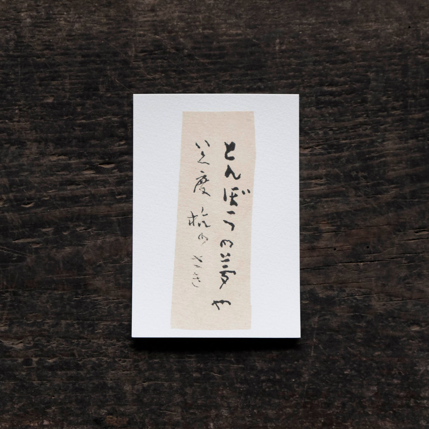 日置路花の書|夏目漱石|とんぼうの(B)|葉書