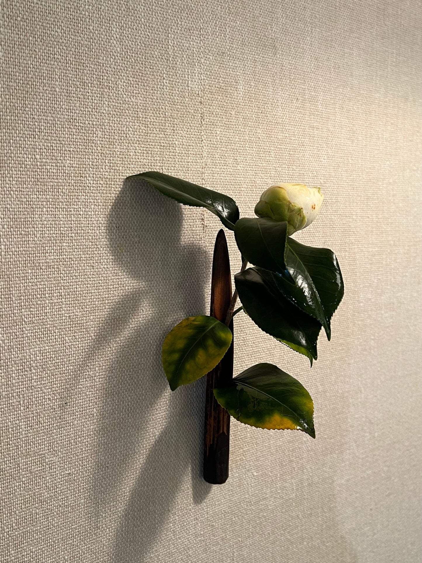 見立ての花器(その2:竹製一輪挿し)