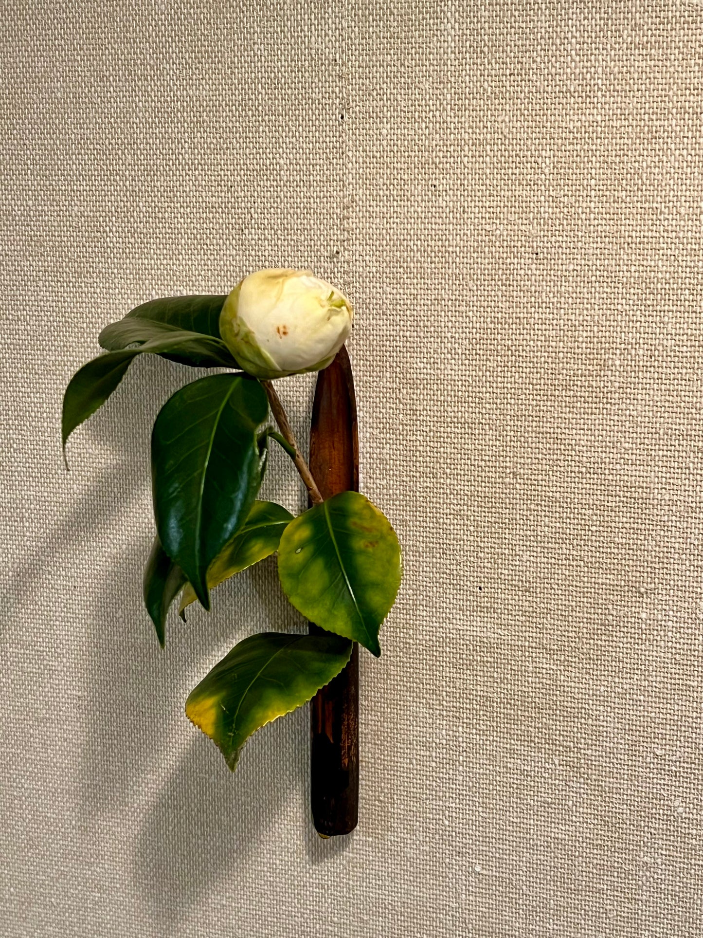 見立ての花器(その2:竹製一輪挿し)
