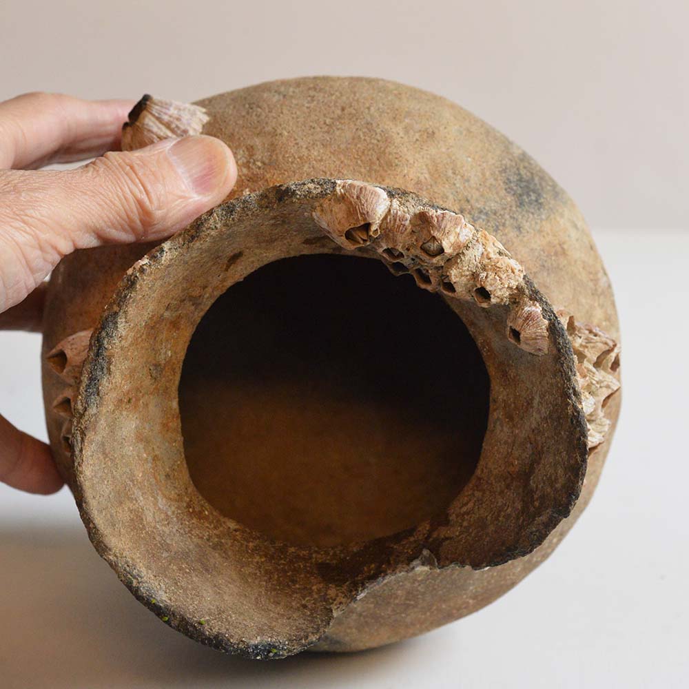 No.3275 海揚がり土師器2点セット 古墳時代