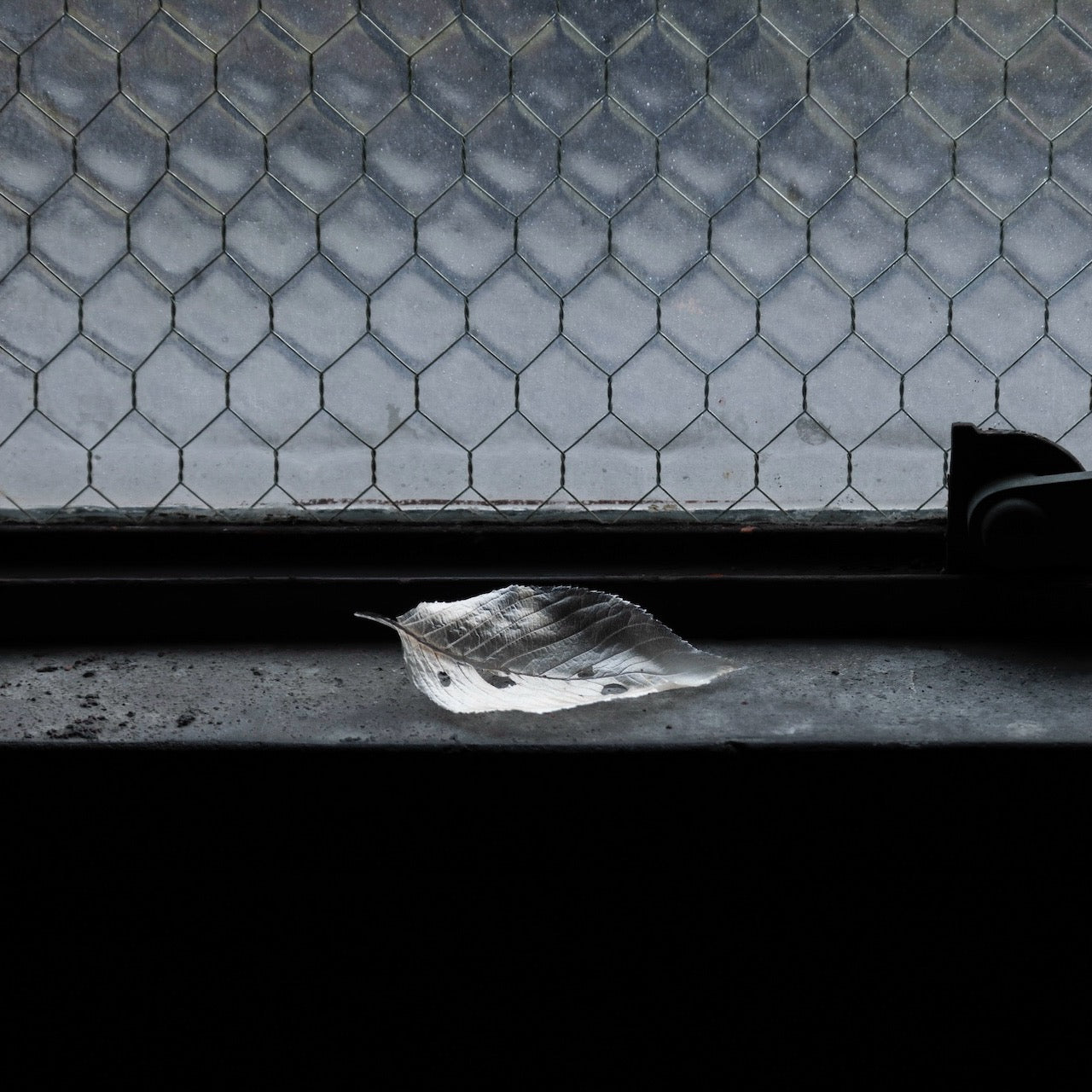 展覧会|よこたよしか|降りつもる終り|観覧券|A|青花会員用