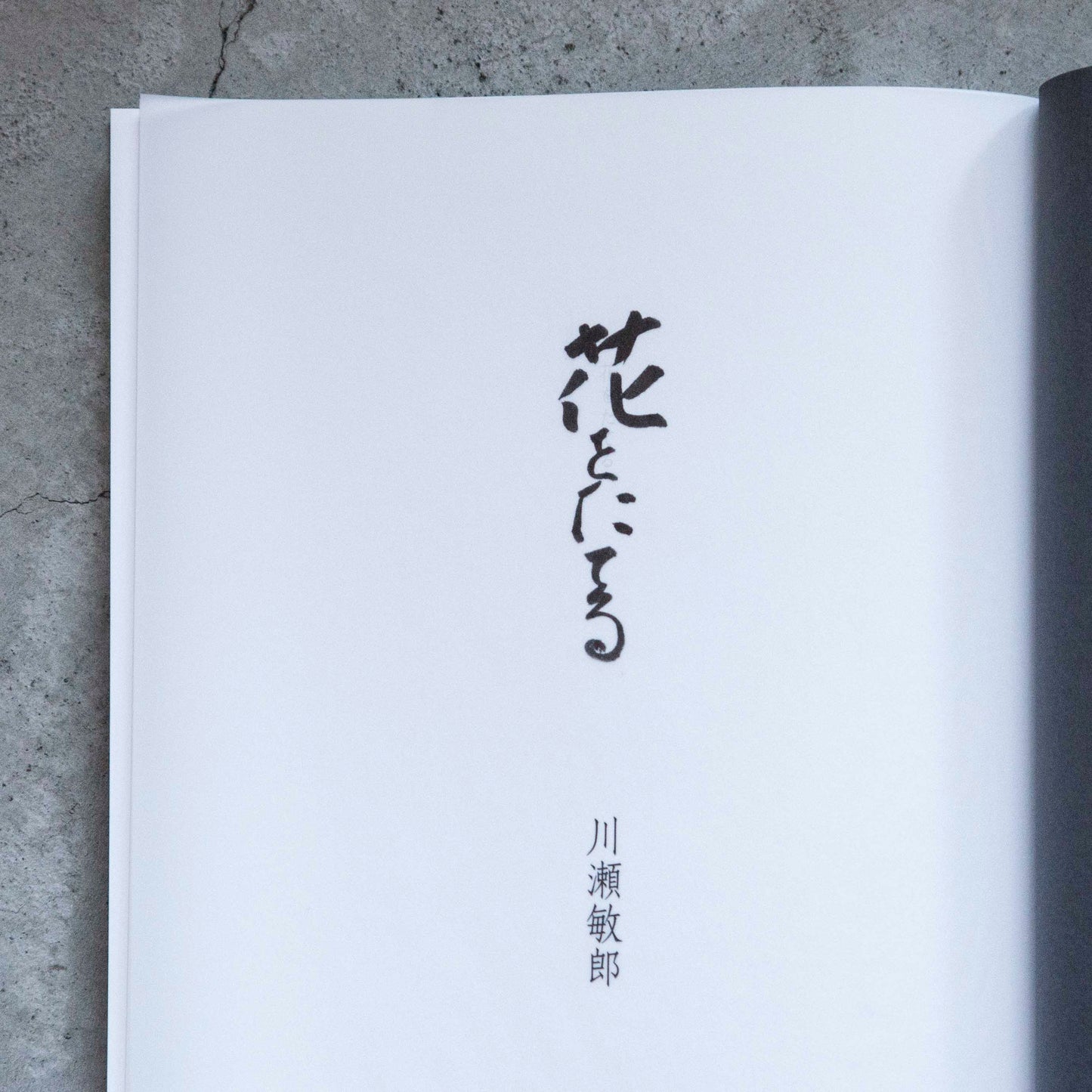 書籍|川瀬敏郎|花をたてる