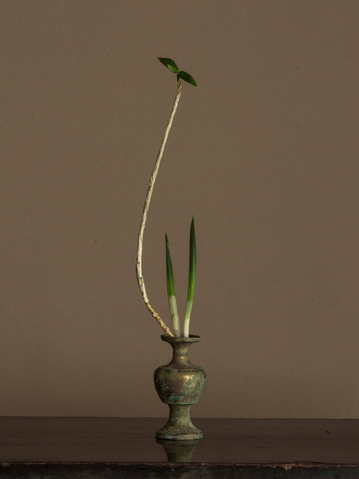 写真｜川瀬敏郎の花｜2 – 青花の会｜seikashop