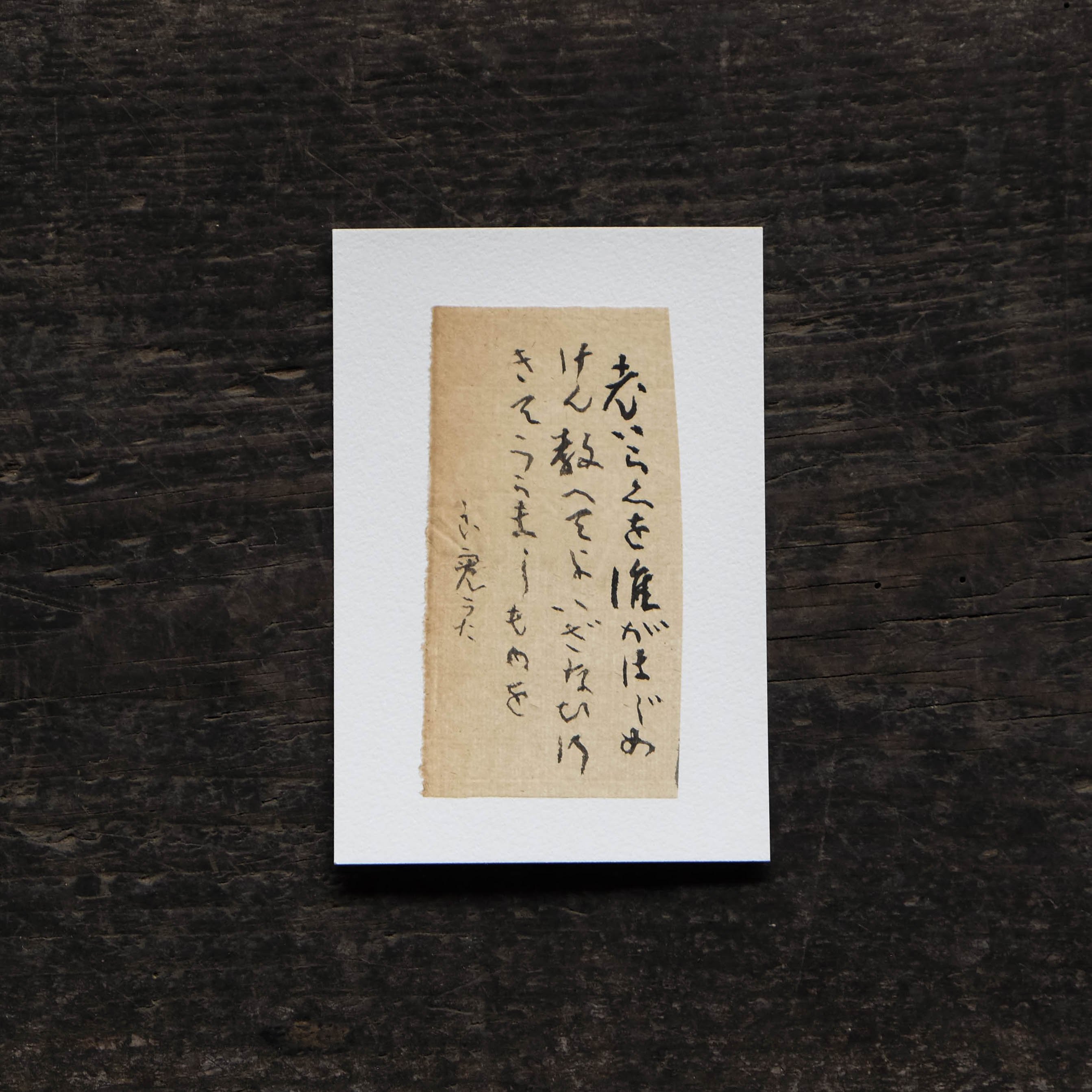 青花の会｜seikashop