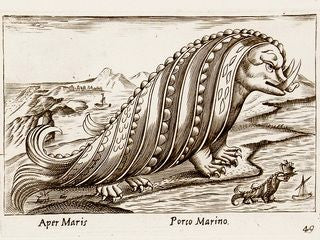 欧州海獣図皿（イタリア／１７７８年銘）