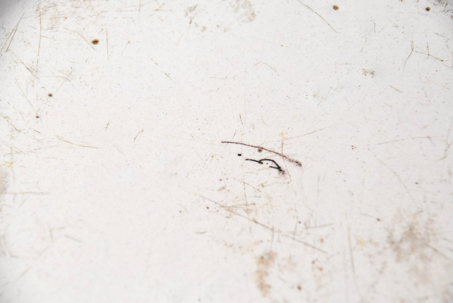 欧州軟陶花文大皿その１（１８世紀）