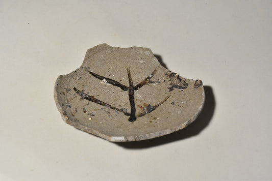 絵唐津陶片その２（桃山時代）