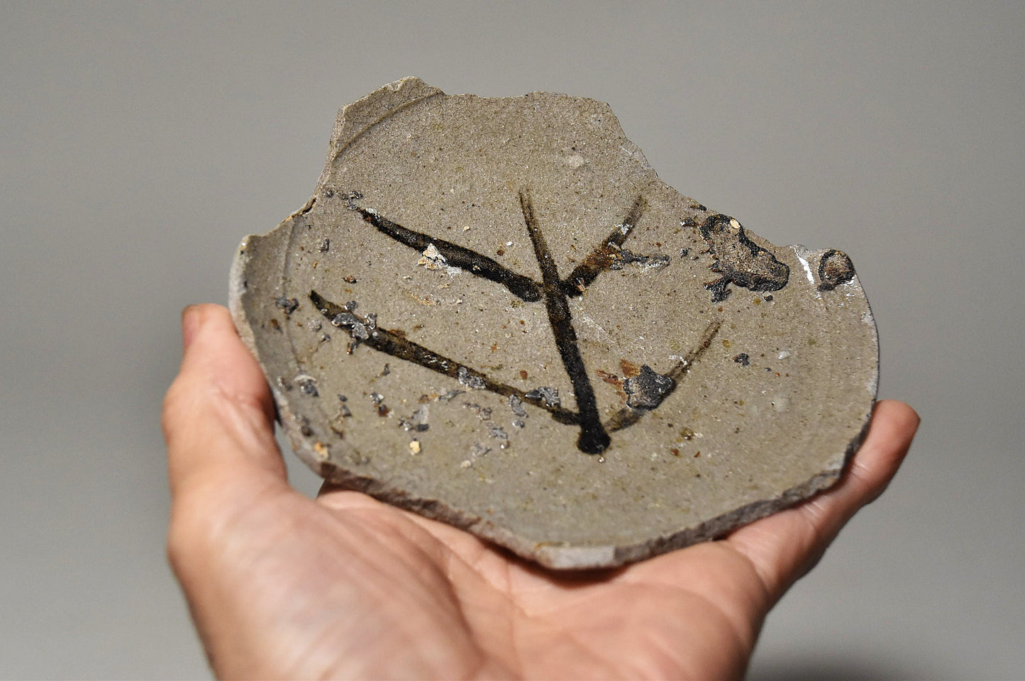 絵唐津陶片その２（桃山時代）