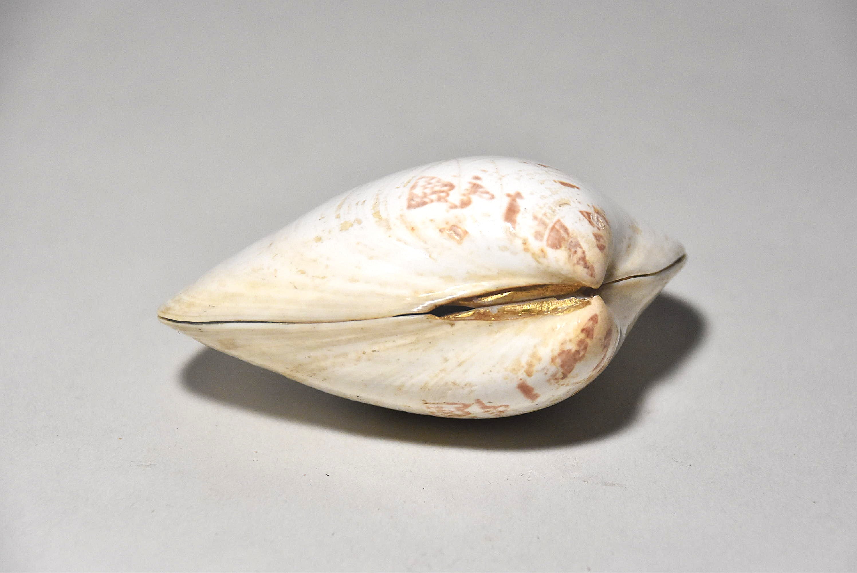 貝合わせその6（江戸時代） – 青花の会｜seikashop