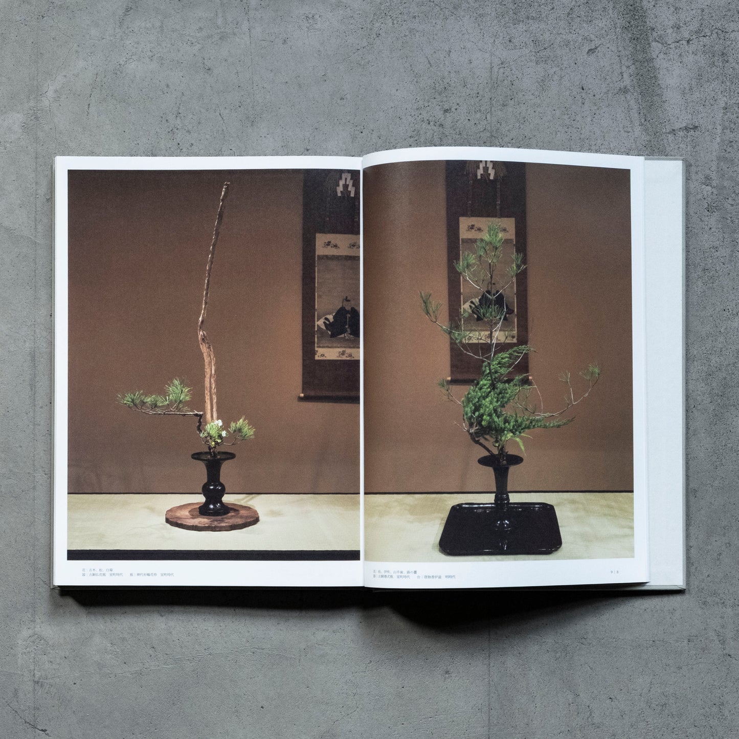 書籍｜川瀬敏郎｜花鏡−万能を一心につなぐ