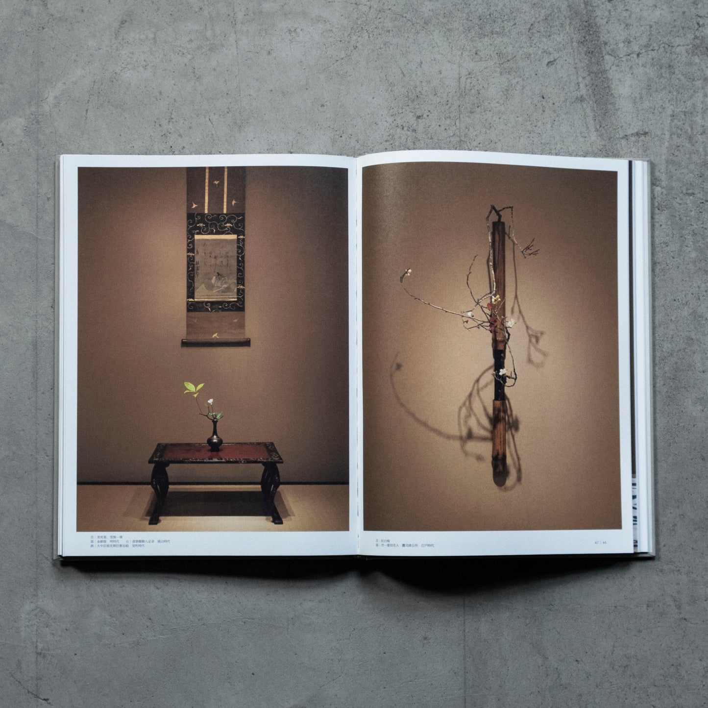 書籍｜川瀬敏郎｜花鏡−万能を一心につなぐ