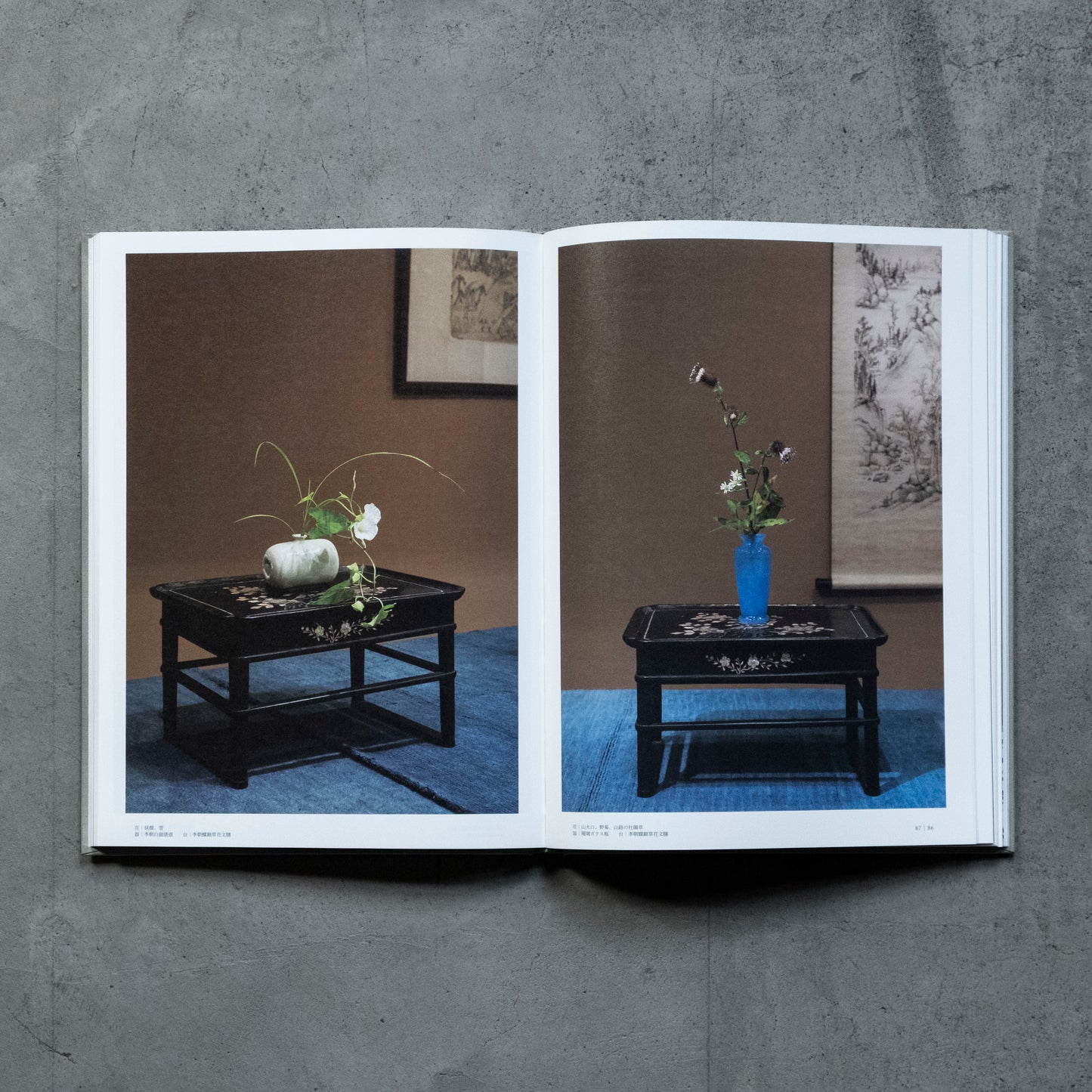 書籍｜川瀬敏郎｜花鏡−万能を一心につなぐ