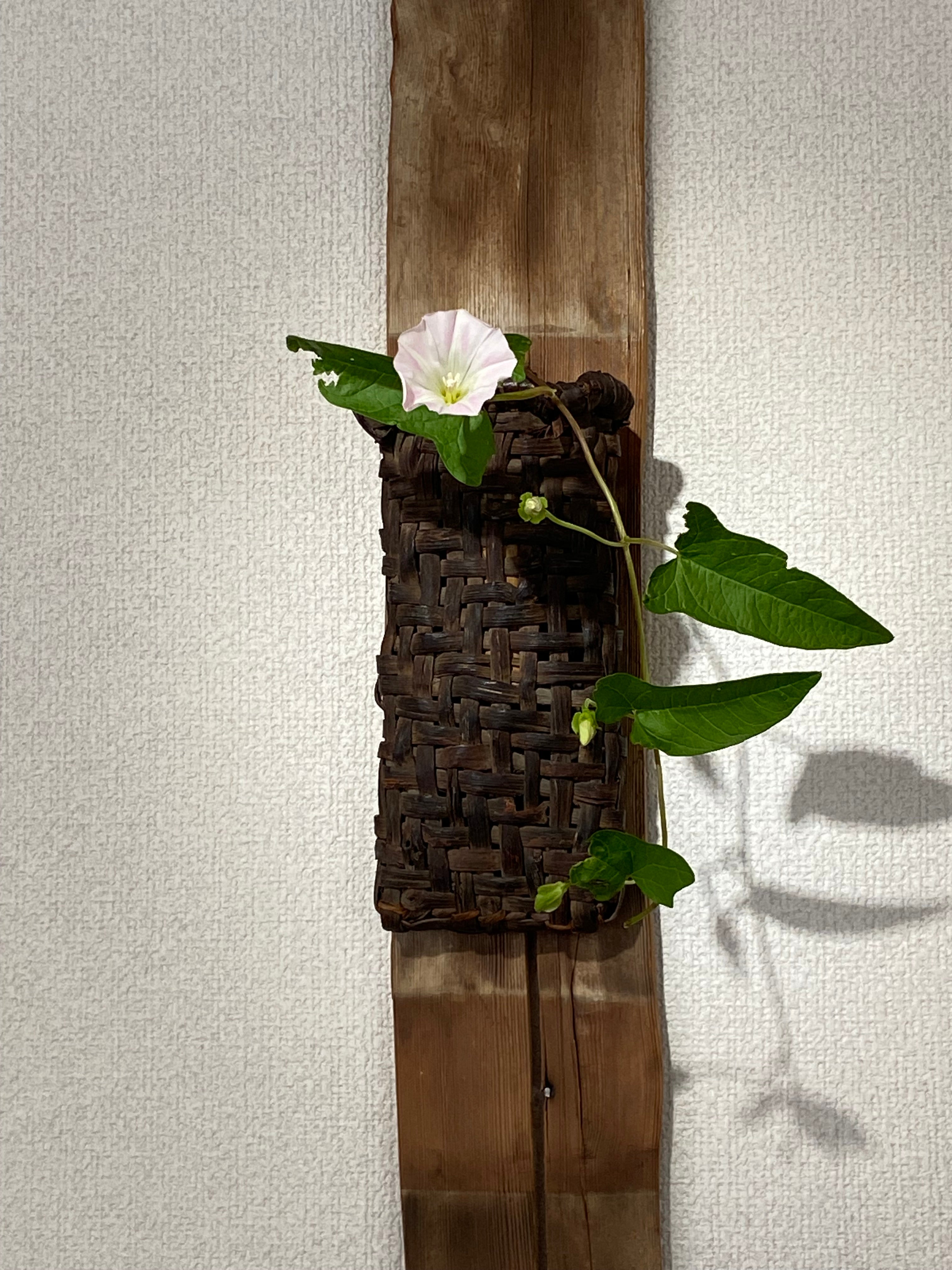 漆桶　　漆掻き　花入　掛花入　民芸　民具　古道具 imgrc0101381280.jpg