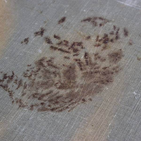 フランスで見つけた染み