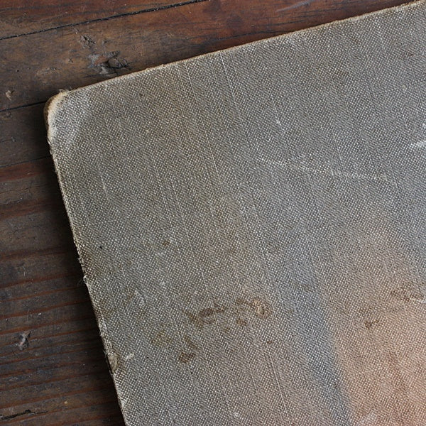 フランスで見つけた染み