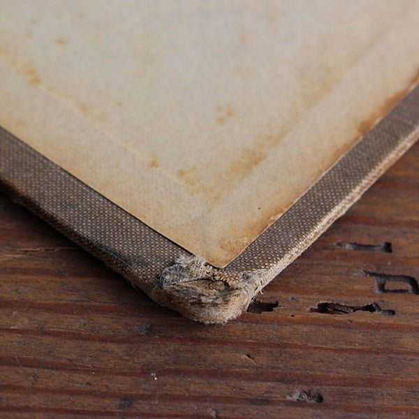 フランスで見つけた染み