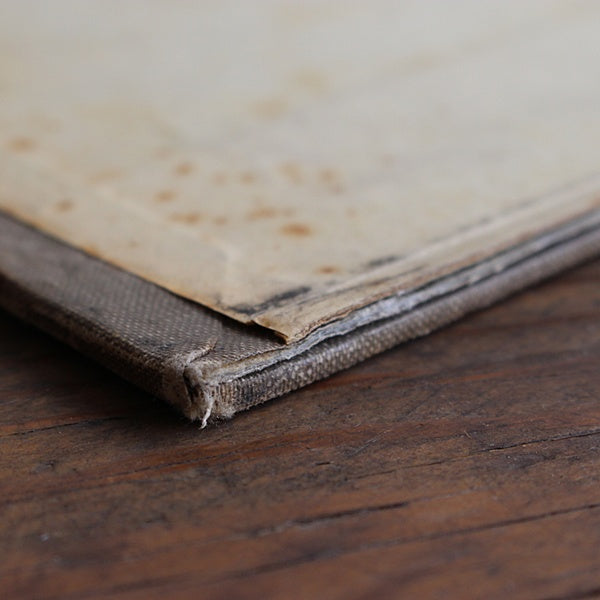 フランスで見つけた染み