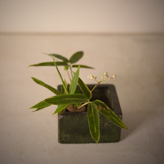 No.8136 李朝 正方形石箱(煙草箱)　朝鮮王朝時代（19世紀）