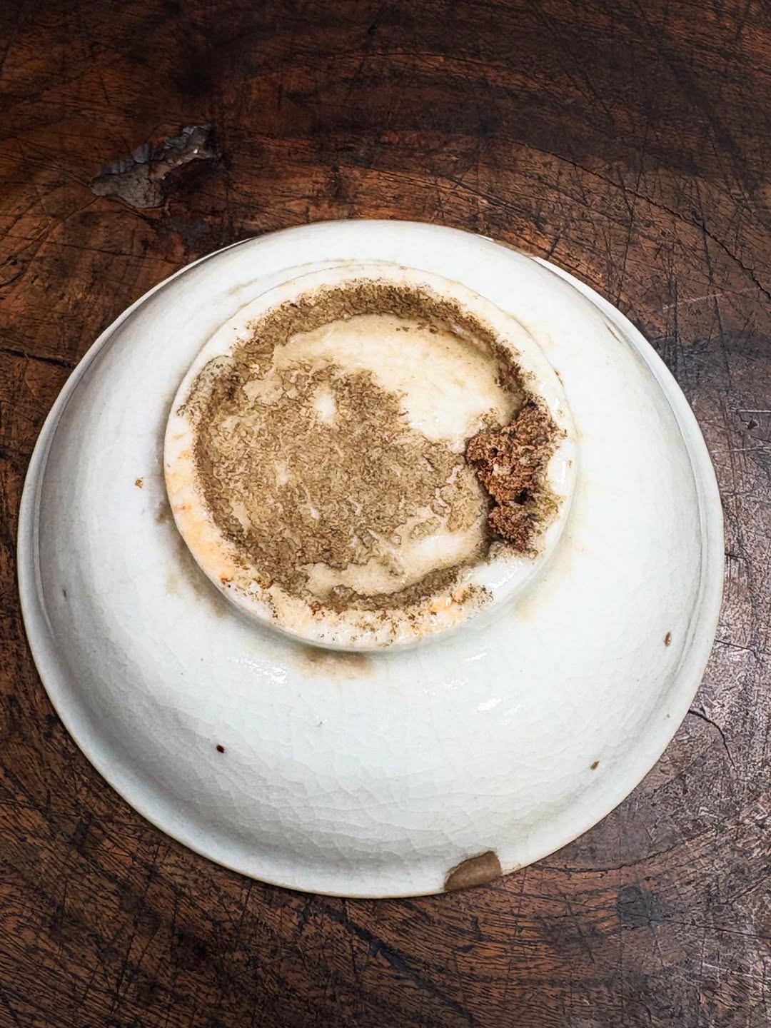 初期伊万里蝶文盃