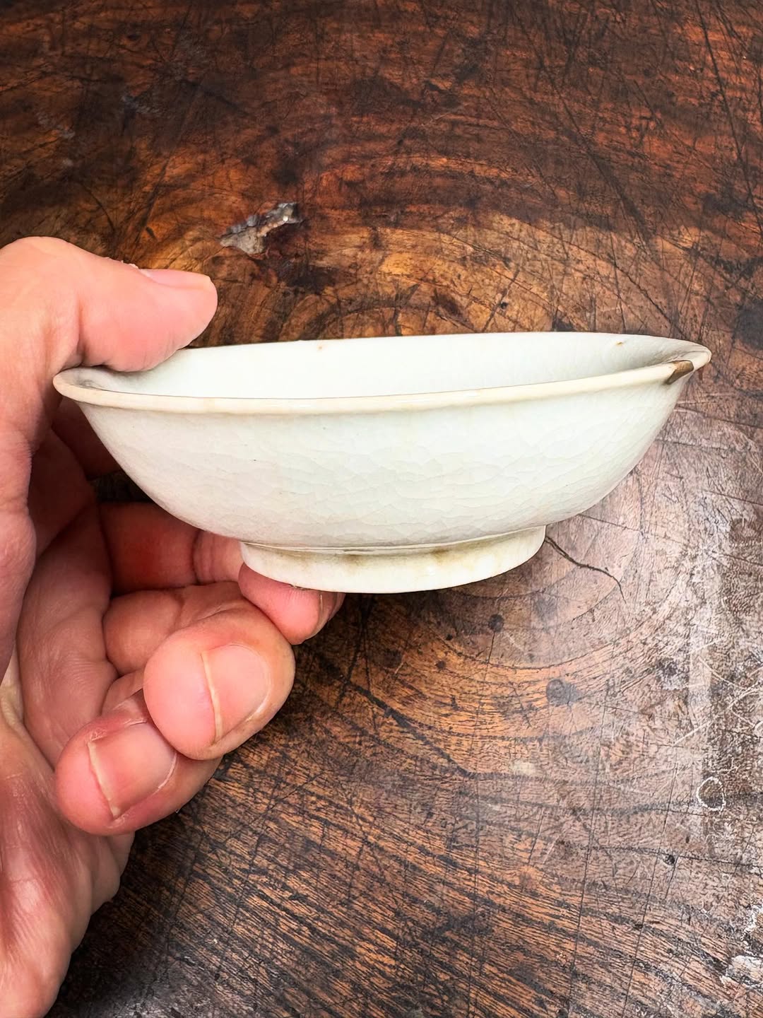 初期伊万里蝶文盃