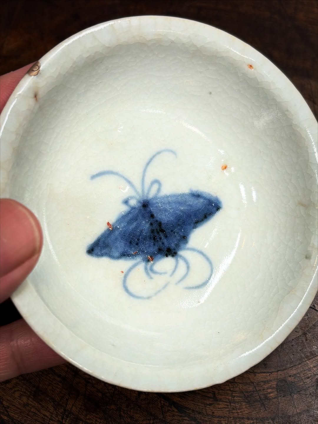 初期伊万里蝶文盃