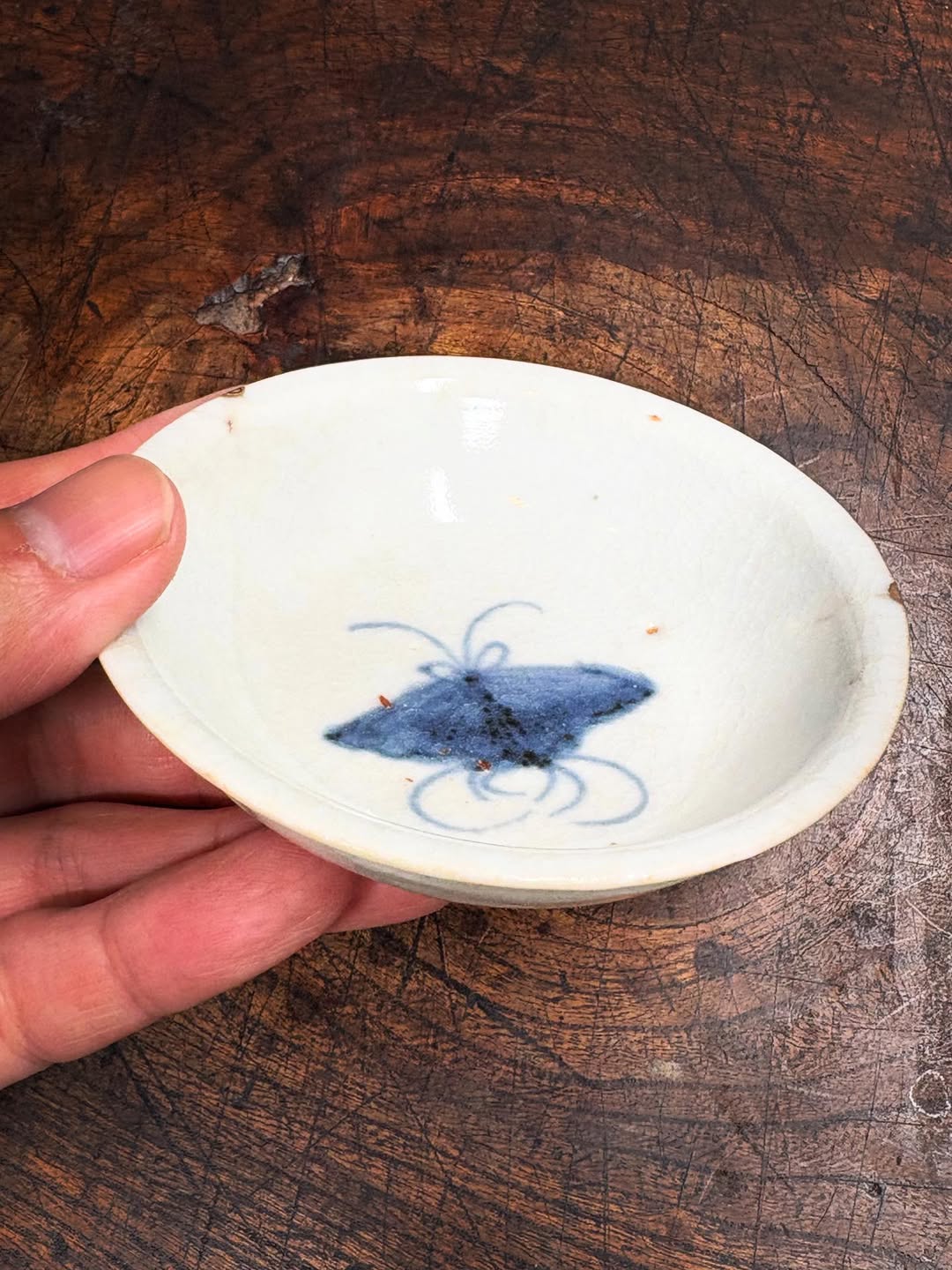 初期伊万里蝶文盃