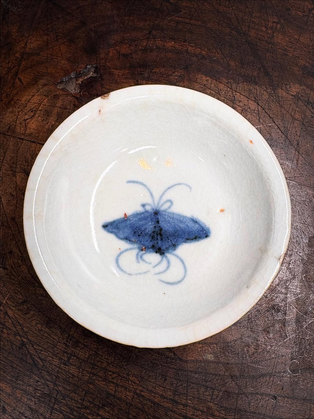 初期伊万里蝶文盃