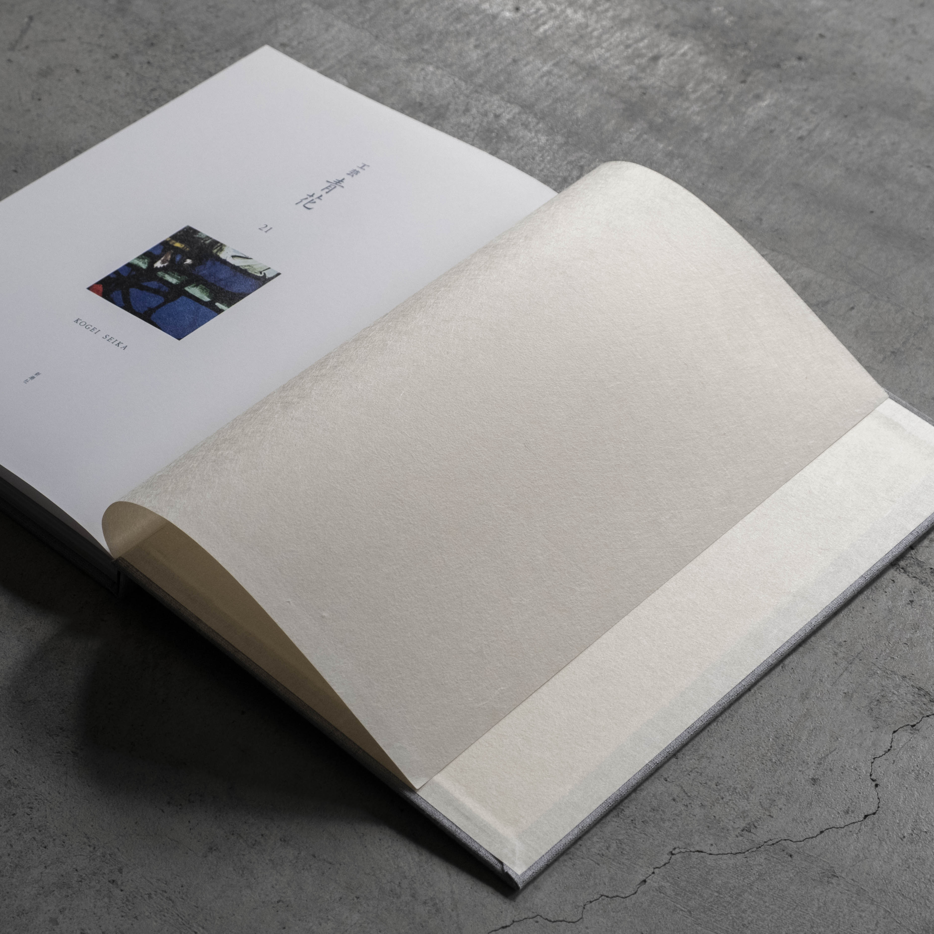 『青花芸術鑑賞』震旦文教基金会、2008年 青花芸術鑑賞』震旦文教基金会、2008年