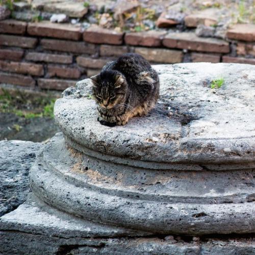 講座｜河島思朗｜ギリシア・ローマ神話10